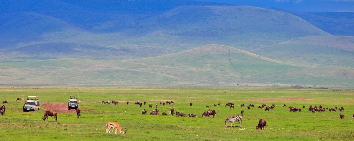 Ngorongoro crater-4 days Tanzania Safaris
