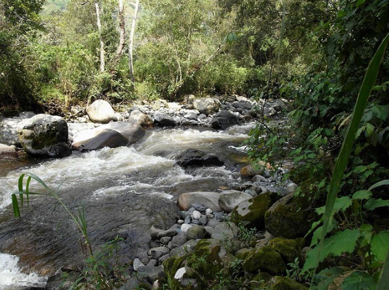 Nyamwamba River - Bakonzo