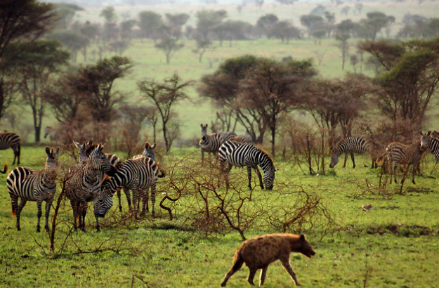 Serengeti National Park - Honeymoon places