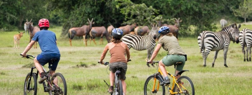 Cycling in Lake Mburo National Park