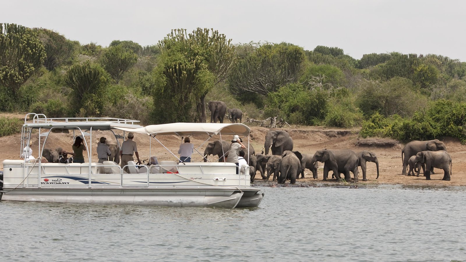 Boat cruise on Kazinga Channel