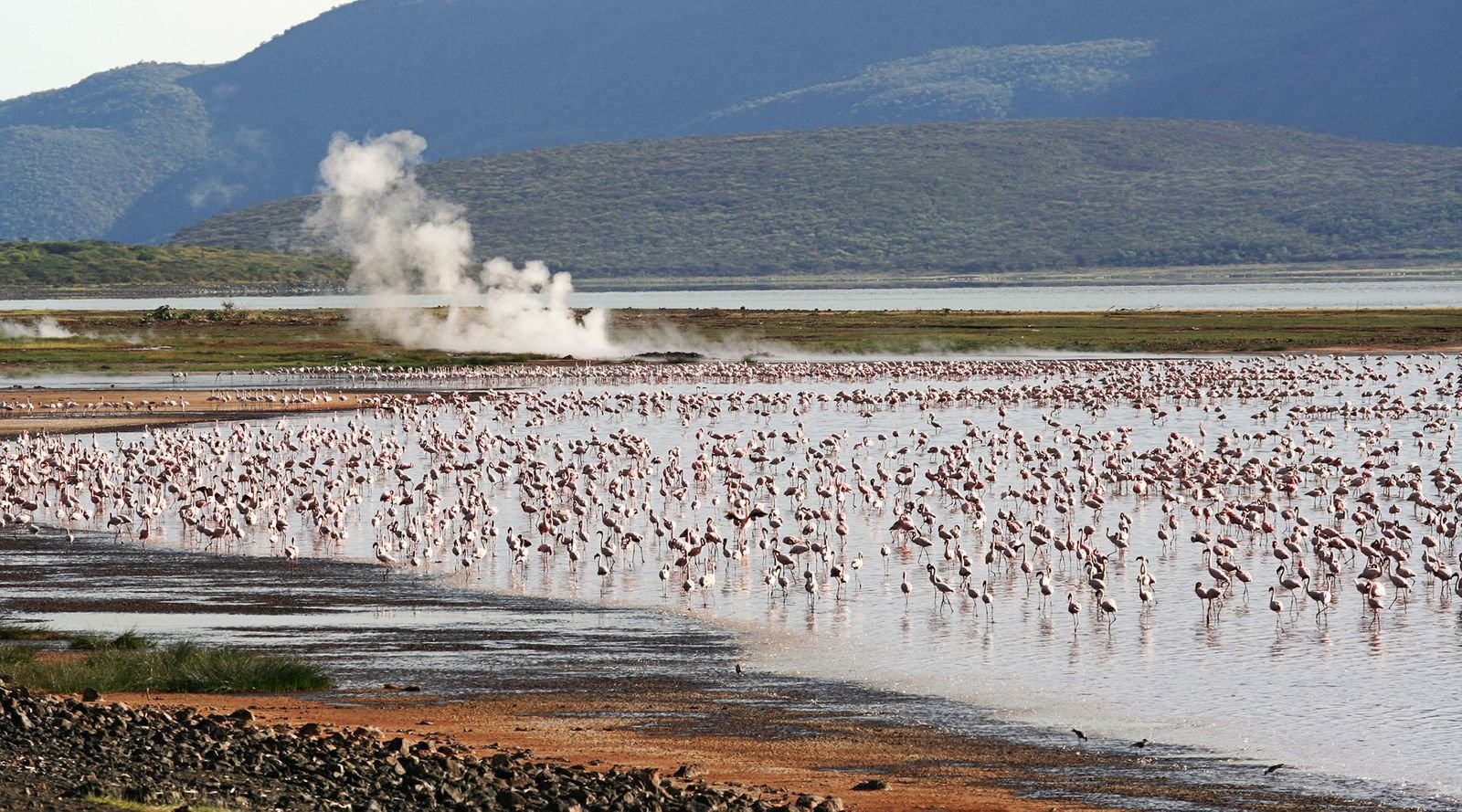 Lake Baringo