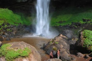 Mountain Elgon national park - Uganda's National Parks