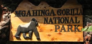 Mgahinga Gorilla national park - Uganda's National Parks