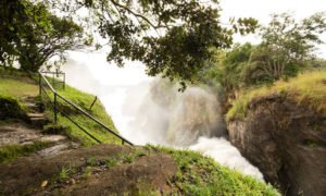 Murchison Falls National Park - Uganda's National Parks