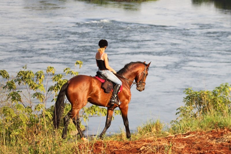Horseback Riding Safaris in Uganda