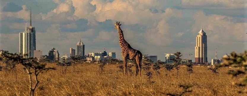 Spotlight on Nairobi-Kenya.