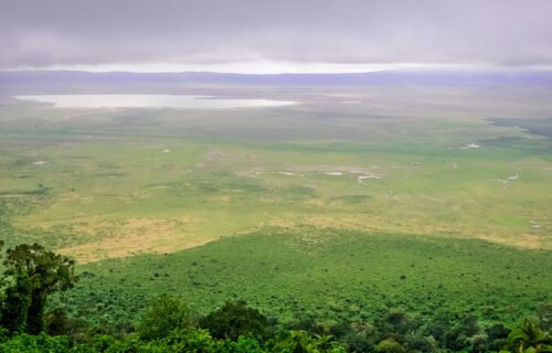 Ngorongoro conservation area in Tanzania