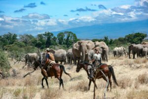 Horse Rides in Tanzania