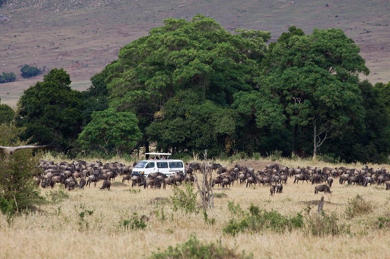 3-Day Magical Kenya Safari