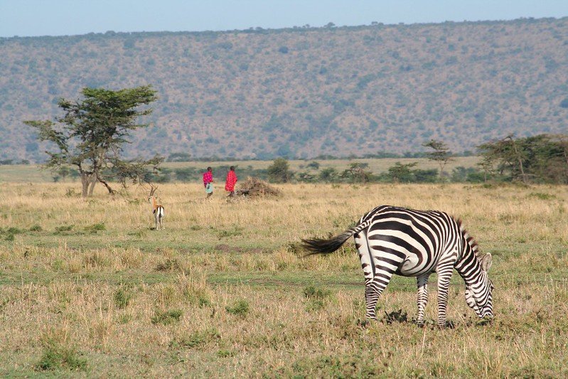 5 Days Kenya Culture and Wildlife