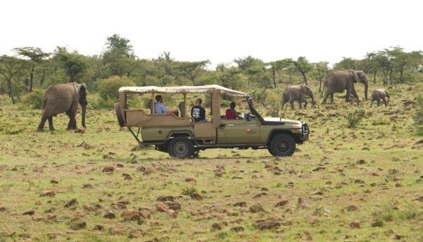 Game Drives in Mahango Core Area